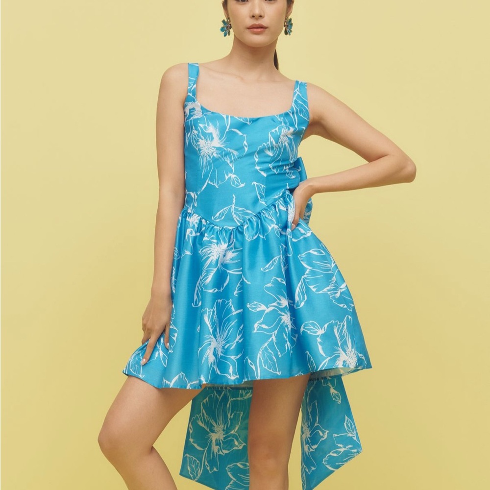 NWT Anthropologie Hutch sleeveless back bow Basque-waist mini dress XS